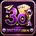 3O Game