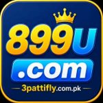 899U Game