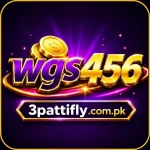 WGS456 Game