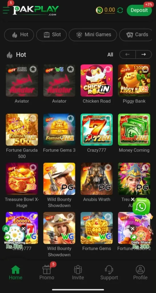 PAKPLAY Game